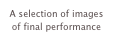 A selection of images of final performance